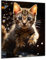 Munera Design - Bild 30x40 - Katzen-Bilder Kitten getigert - Wand-Bilder Wohnzimmer