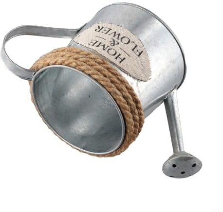 Filteilect Regadera de hierro vintage de metal, maceta decorativa, jarrón retro para jardín, decoración del hogar, estilo rústico, para interiores y exteriores