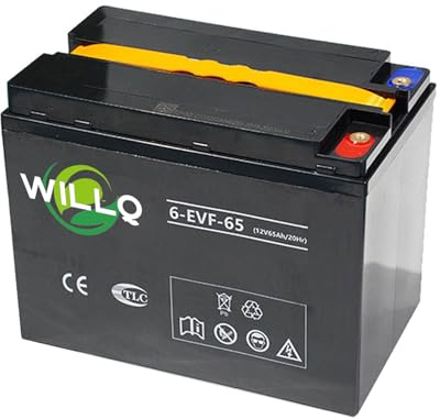 WILLQ 12 Volt 65AH Gel-Batteriesatz mit Innengewinde und M6-Anschluss, wiederaufladbar, für Elektrotransporter, Gabelstapler, 6EVF65