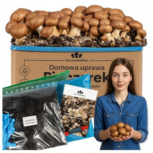 Champignon Zuchtset 30 kg – Frische Pilzkultur brauner Champignons für Zuhause – Komplettset mit Myzel, Torf-Abdeckung, Anleitung & Kartonbox – Einfacher Pilzanbau zum Selberzüchten + Gratis