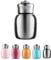 Mini-Thermosflasche, 200 ml, niedliche Wasserflasche, vakuumisolierte Edelstahl-Wasserflaschen, auslaufsicher, hält heiß und kalt, für zu Hause, im Freien, auf Reisen Einheitsgröße silber