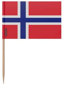 Pixelforma - Palillo de dientes (100 piezas, 6,5 cm)