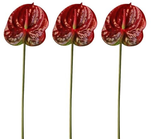 AtHomeYuyue 6pcs Artificial Anthurium Lily Flowers 22 Red Fake Tropical Flowers for Vase Bouquets Home Office Wedding Decor(Red)