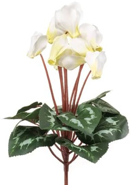 FloristryWarehouse Cespuglio ciclamino in finta seta, 8 teste di fiori con foglie, 30 cm, bianco