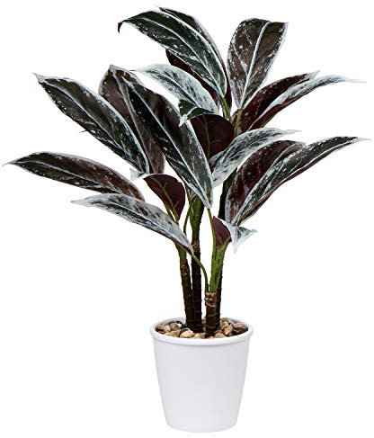 Briful 63CM Künstliche Cordyline Fruticosa Kunstpflanze Groß Dekorative Indoor Tropische Pflanzen Kunstbaum in Weißem Topf für Wohnzimmer Büro Dekoration