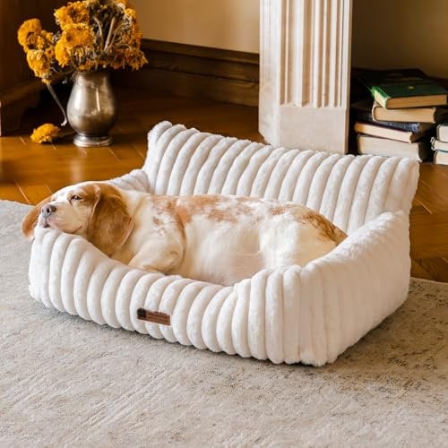 MEWOOFUN Dog Sofa Bed - Cat Beds for Indoor Cats Soft and Fluffy, Cat Sofa Bed Small Calming Dog Bed with Removable Washable Cover (Cream, 76x53x30)