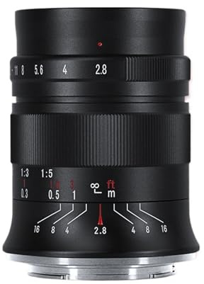 Kompatibel mit Sony E, Nikon Z, Canon RF, Fujifilm XF, L-Mount und M4/3 Mount 60 mm F2.8 II APS-C Makroobjektiv for Porträtfotografie(L-Mount)