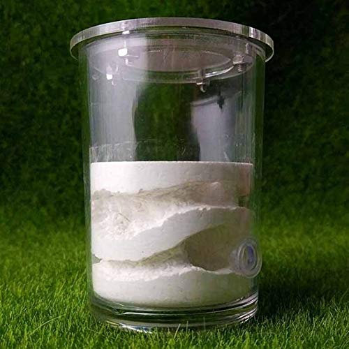 MTFZD Insektenvilla Ameisennest Kleine Tasse Ameisennest Glas Formicarium Ameisenfarm Gips AntHouse Display Box Insect Villa Workshop Ameisen Fütterung Wissenschaft Bildungs Geburtstagsgeschenk