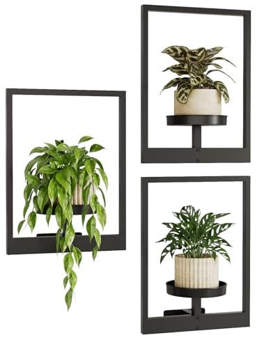 Bamworld Maceta Pared Decorativa 3 Unidades Soporte para Plantas Interior o Exterior, Estantería Metálica Negro para Cocina, Dormitorio, Baño, Patio, Jardín y Balcón