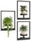 Bamworld Maceta Pared Decorativa 3 Unidades Soporte para Plantas Interior o Exterior, Estantería Metálica Negro para Cocina, Dormitorio, Baño, Patio, Jardín y Balcón