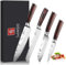 JUANSHI® 4-teiliges Messer Set – Profi Küchenmesser Set aus hohe Qualität Edelstahl, scharfe Klingen, inklusive Santoku, Kochmesser, Brotmesser und Universalmesser, perfektes Küchenzubehör