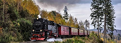 HANSEPUZZLE 100886 - Dampflokomotive Puzzle 1000 Teile | Fortbewegung mit hochwertiger Puzzle Aufbewahrung: Kartonbox und Wieder verschließbarem Beutel | Puzzle-Maße: 90 x 31,7 cm