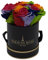 PARIS EN ROSE Rosenbox Rainbow | mit 4 konservierten Infinity Rosen Größe XL | ewige Rose | Regenbogen | runde Box in Schwarz-Gold | 3 Jahre haltbar