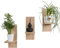 Mex-System Set di 3 scaffali per fiori eleganti da parete in legno per piante e decorazioni da parete (rovere Sonoma)
