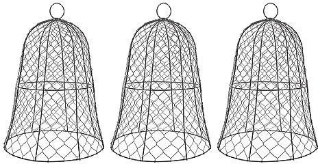 GARTEN HÜHNCHEN DRAHT CLOCHE PFLANZEN SCHUTZ ABDECKUNG + 10 PACKS SCHWARZ DICKENED BAU DRAHT CLOCHE, EISEN MATERIAL, SCHWARZE FARBE