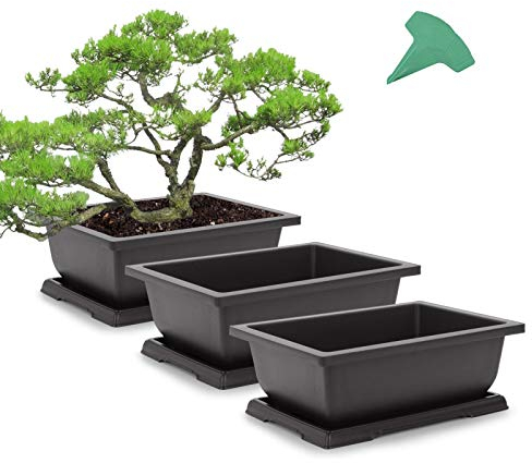GROWNEER Bonsai-Trainingstöpfe mit Drainage-Feuchtigkeitsschalen, große Bonsai-Töpfe mit 1 Umtopfmatte, Pflanzgefäß für Garten, Hof, Balkon, Büro, Wohnzimmer