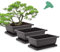 GROWNEER Bonsai-Trainingstöpfe mit Drainage-Feuchtigkeitsschalen, große Bonsai-Töpfe mit 1 Umtopfmatte, Pflanzgefäß für Garten, Hof, Balkon, Büro, Wohnzimmer