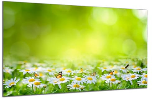 DARO Design - Wand-Bild auf 6mm HDF 84x56 cm Blumenwiese Gänseblümchen grün - Wand-Deko Bilder Geschenk