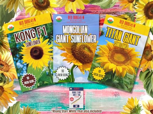 Giant Sunflowers of The World - Triple Pack Including Kong F1, Mongolian Giant, and Titan Giant.