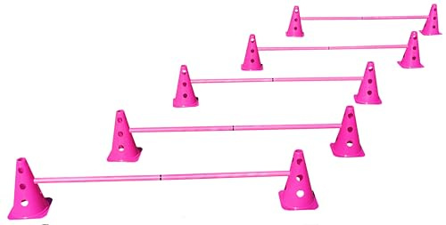 Boje Sport Steckhürdenset Pink - 5 er Set für Koordinationstraining Agility Hundesport Pferdesport Zubehör Lochkegel Fussball Pylone Stangen Lochkegel für Trainingsübungen Trainingszubehör