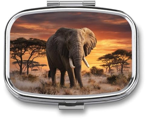 Pillendose mit Elefant bei Sonnenuntergang, 2 Fächer, tragbar, Medikamentenbox, Reise-Pillen-Organizer für Tasche, Geldbörse