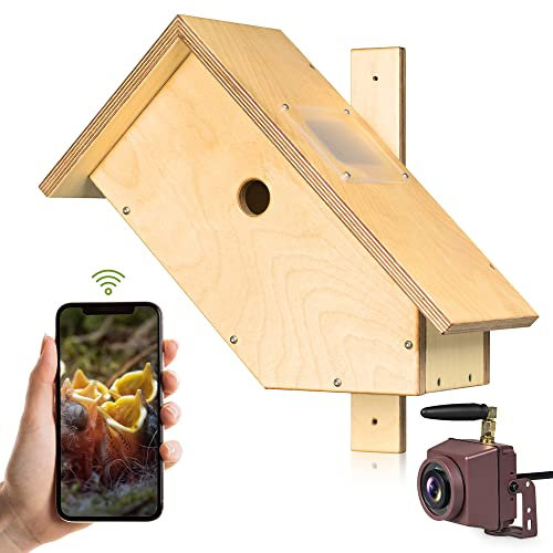 Caja nido autónoma con cámara Wi-Fi, con banco de energía y conexión directa WiFi, memoria de 64 GB para grabación, sonido, visión nocturna, aplicación para Android e iOS