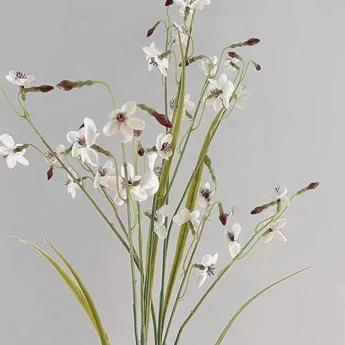 100 pcs Schwanenblume Samen Winterharte Stauden (Butomus umbellatus) Teichpflanzen Exotische Pflanzen Samen Balkonpflanzen Winterhart Mehrjährig Zimmerpflanzen Samen Nachhaltige Geschenke