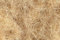 Holzwolle Füllmaterial von 50g bis 10kg Bio Verpackungsmaterial für Deko Geschenk Karton Pakete - unbehandelte naturbelassene Fichtenholzwolle Erdbeerholzwolle Gartenholzwolle Gemüseholzwolle (1 KG)