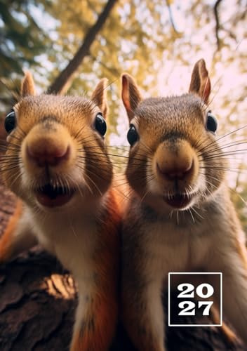 2027: A5 Kalender Terminplaner | 1 Woche auf 2 Seiten | Jan - Dez Wochenplaner | Kalenderbuch Terminkalender | Organizer Wochenkalender | Buchkalender Jahresplaner | Lustige Eichhörnchen