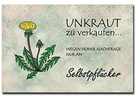 Homeyourself Hochwertiges Metallschild 30 x 20 cm aus Alu Verbund Unkraut Deko Schild Wandschild