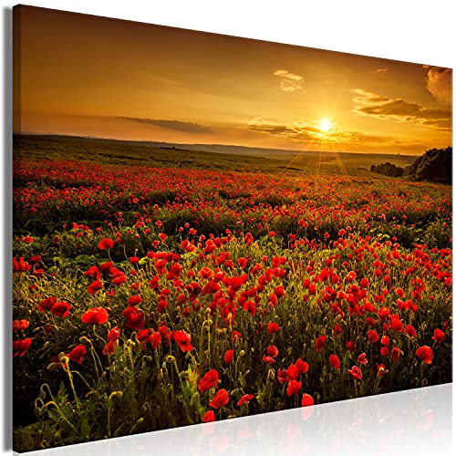 murando - Tableau décoratif paysage 120x80 cm - Impression sur toile colorée - Décoration murale pour salon et chambre - Paysage coquelicots nature champs coucher de soleil c-B-0639-b-a