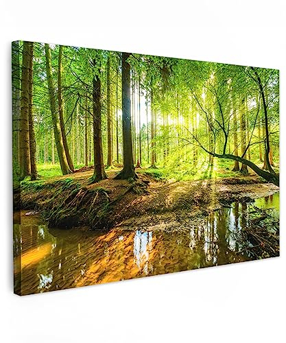 MuchoWow© Leinwandbild 90x60 cm Dekoration Wohnzimmer Bilder Aufhängen Wall Decoration Living Room Wohnungs Deko Moderne Wandbilder Bild Wald - Landschaft - Wasser - Bäume - Grün - Natur