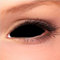 Sclera Lenses Black, schwarz, Ohne Sehstärke, 1 Stück