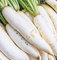 vegherb 150X Daikon Radis Seeds