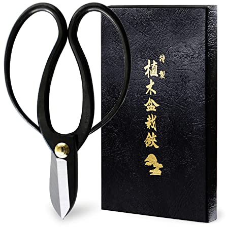 Hanafubuki Wazakura Ikebana Scissors MADE IN JAPAN 6.7 inch (170 mm), Japanese Flower Arranging Tools, Kado Hasami Shears - Koryu Black