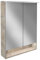 FACKELMANN LED Spiegelschrank B.Style/Badschrank mit gedämpften Scharnieren/Maße (B x H x T): ca. 60 x 81,2 x 15,3 cm/hochwertiger Schrank mit Spiegel und Beleuchtung/Korpus: Grau