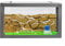 AntHouse - Natürliche Ameisenfarm aus Sand | 3D Starter Kit Grau 20x10x10 cm | Inklusive Ameisen