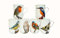heritage Set of 6 British Birds Mugs, 6 Different Designs with Free UK DELIVERY