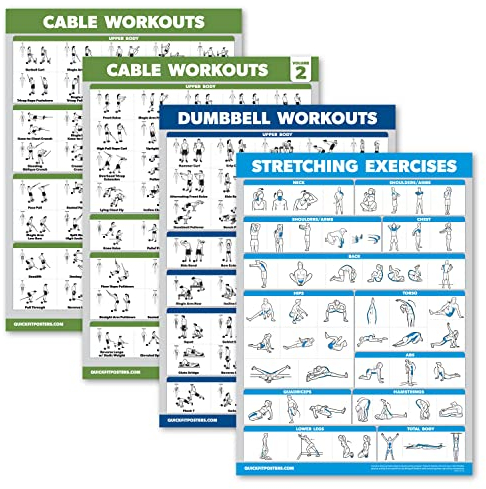 Palace Learning Kabelmaschinen-Workout-Poster, Band 1 & 2 + Hantelübungen + Dehnübungen (laminiert, 45,7 x 61 cm), 4 Stück