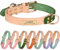 Collares de Piel Auténtica para Perros Personalizados Placa de Identificación con Nombre y Número de Teléfono Grabados Collar Cuero Bicolor para Perro de Razas Pequeñas Medianas Grandes