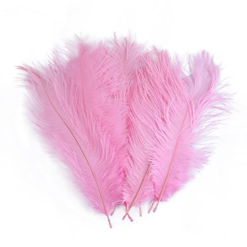 Asudaro 10pcs DIY Straußenfedern Federn Dekor 25-30cm Länge Flauschige Federn Bunte Natürliche Federn Naturfedern für DIY Handwerk Art Basteln Karneval Rosen Montag Halloween Fest Versch Rosa