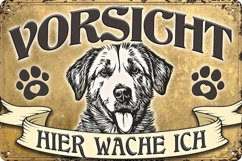 30 x 20 cm wetterfestes Hunde Blechschild, Warnhinweis, Torschild, Farbe Gold, Vorsicht - Hier Wache ich! (Golden Retriever)