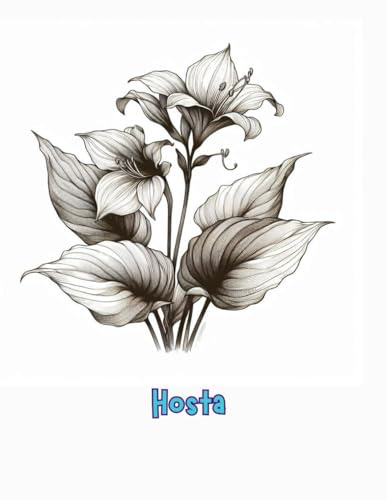 Hosta