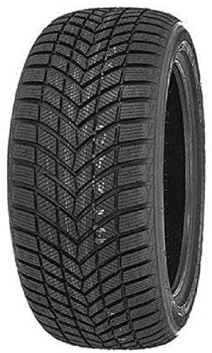 Infinity EcoZen 165/65 R15 81T Winterreifen GTAM T220776 ohne Felge