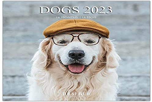 Draeger Paris - Grand calendrier mural Chiens - 2023