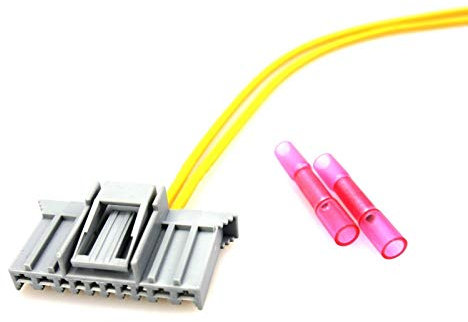 GEWIE 90 025, Stecker Reparatursatz kompatibel mit Fiat Panda 169 Bodycomputer Kabelbaum Licht Scheinwerfer