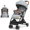 COSTWAY Kinderwagen Einhand Faltbar, Kinderbuggy mit verstellbare Rückenlehne & Verdeck, Reisebuggy mit Liegefunktion, Sicherheitsgurt für Baby bis 3 Jahren, 15 kg Belastbar (Grau)