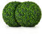 FANTASK 2 Bolas Artificiales Aglaia Odorata, Bolas de boj Artificiales, 40 cm
