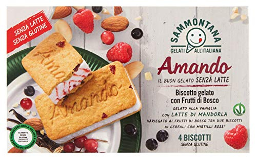 Sammontana Biscotto Gelato Amando Con Frutti Di Bosco 4Pz, 208g