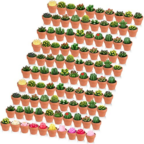 MTLEE 150 Pcs Succulent Cactus Candles Tealight Candles Bulk Mini Handmade Baby Shower Novelty Bridal Shower with Terracotta for Birthday Wedding Party Favors Home Decor